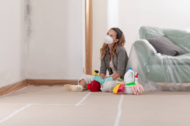 Reliable Mold Remediation contractor in Okemos, MI by Cheap Mold Removal